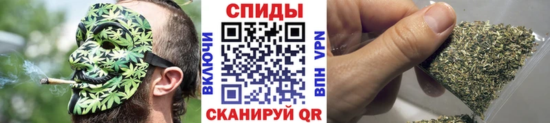 где купить наркоту  mega tor  Бутират оксибутират  Балашиха 