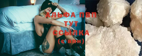 СК Калининец