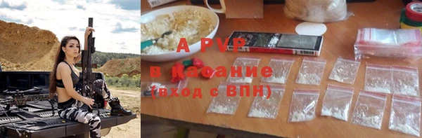 СК Калининец