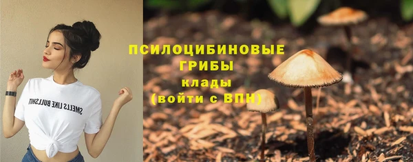 соль курить ск Фёдоровский