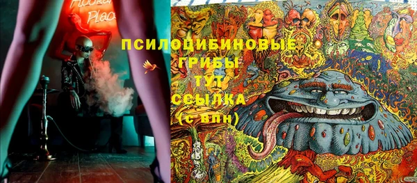СК Калининец