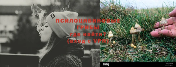 СК Калининец