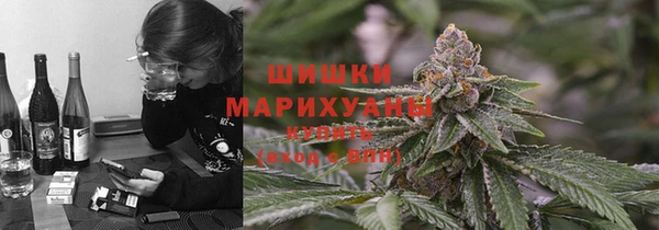 СК Калининец