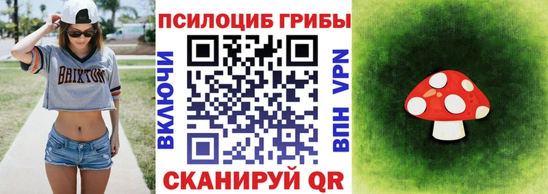 хочу наркоту  Балашиха  Псилоцибиновые грибы Magic Shrooms 