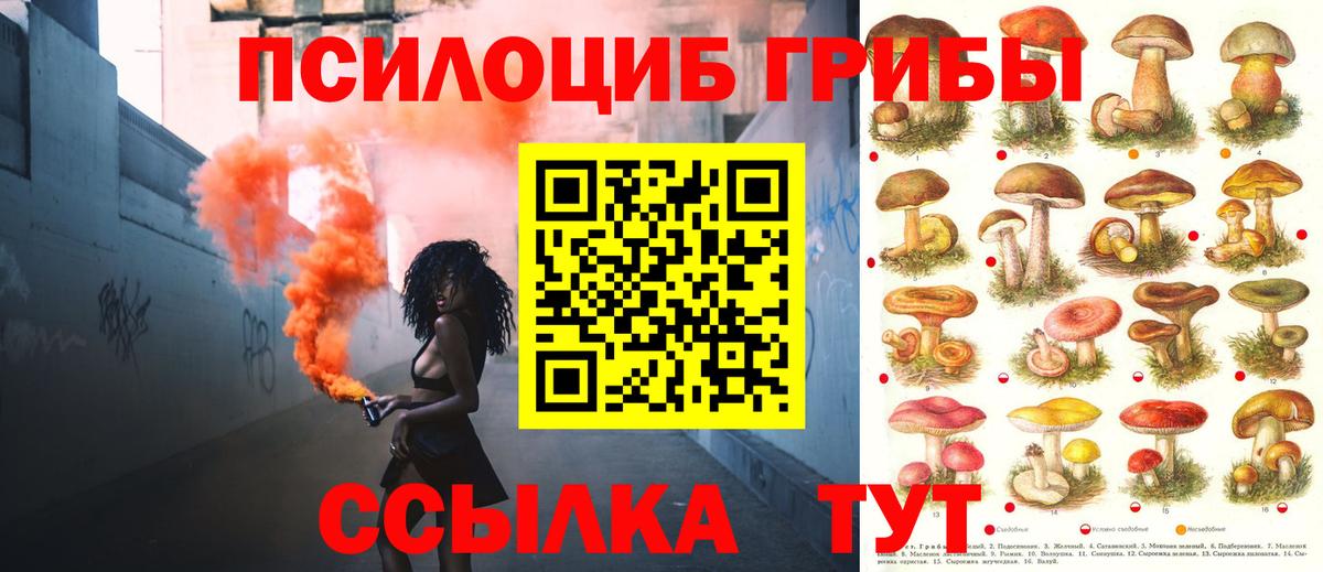 Галлюциногенные грибы Psilocybe Балашиха