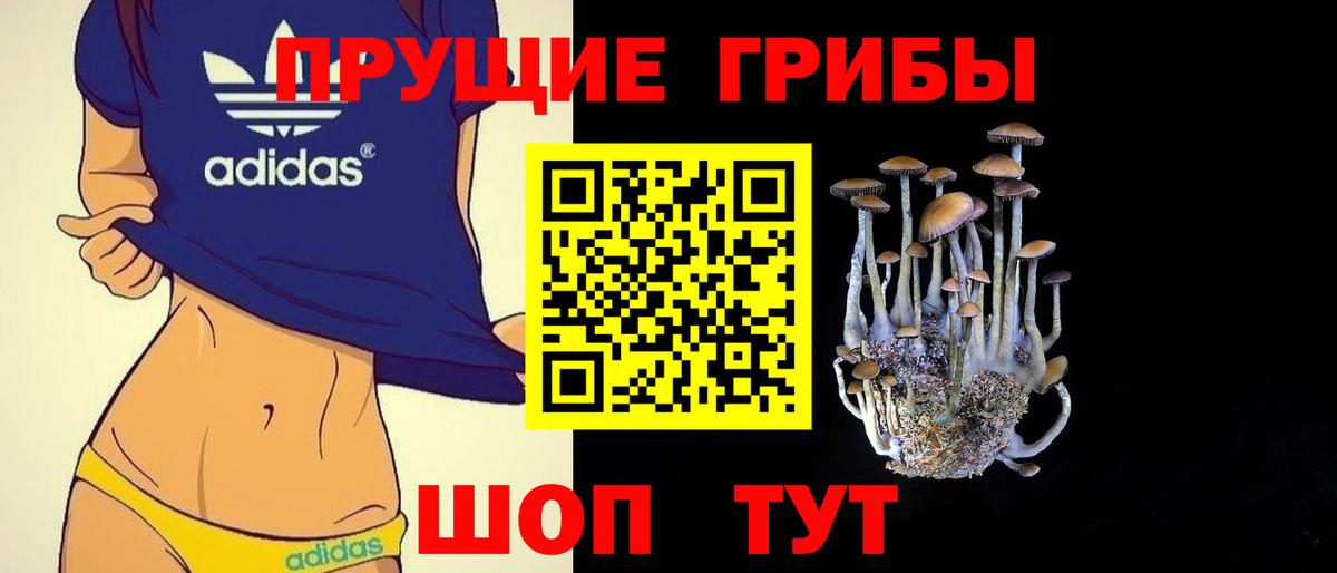 Балашиха  Галлюциногенные грибы Magic Shrooms  Вход с VPN  хочу   Псилоцибиновые грибы прущие грибы 