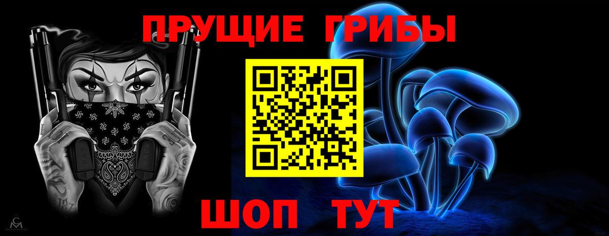 Галлюциногенные грибы Psilocybe  Балашиха 