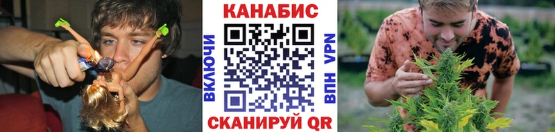 Конопля конопля  Балашиха 