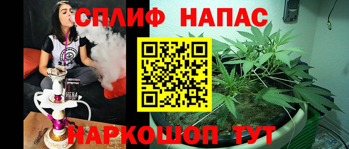 Каннабис конопля Балашиха